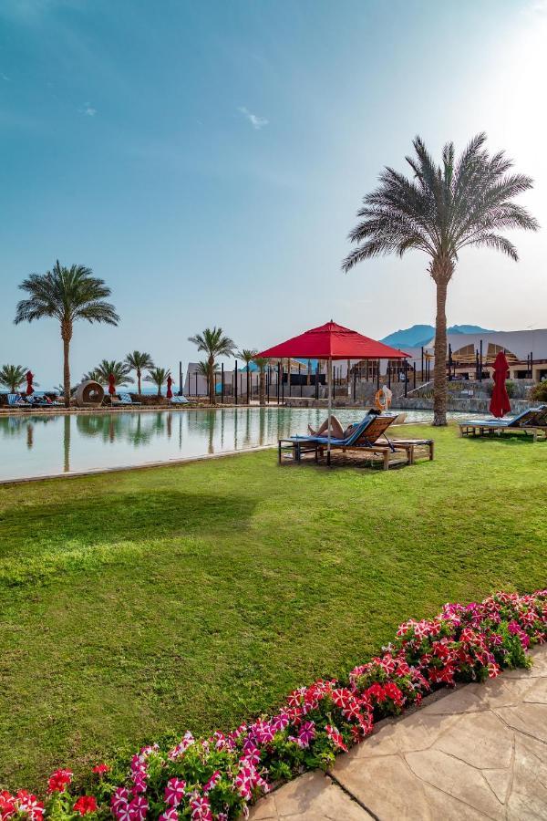 Retac Qunay Dahab Resort & Spa Luaran gambar The pool at the resort